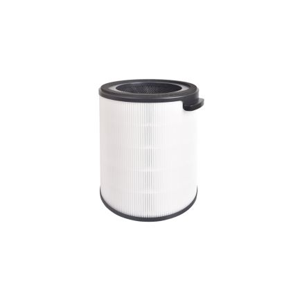 HEPA Filter PHILIPS NanoProtect + Carbon, ПВ009
