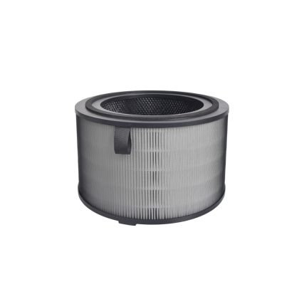 HEPA Filter PHILIPS 2 in 1, PB017