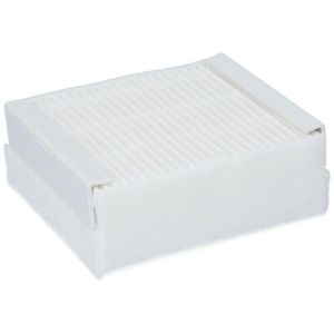 Set of 5 pcs filters for THOMAS, code P383
